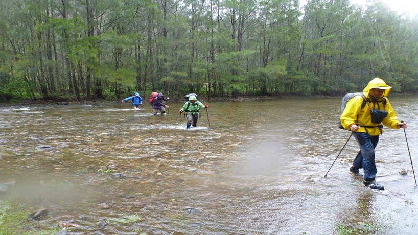 IMAGE 2025 02 26 171757